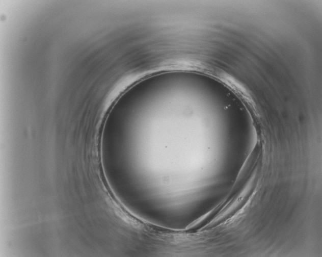 X0000065261192200602211242