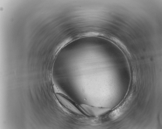 X0000065261193200602211242