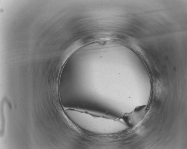 X0000065261194200602211242