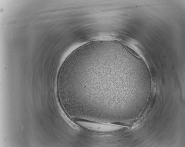 X0000065261195200602211242