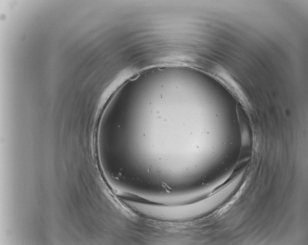 X0000065261196200602211242