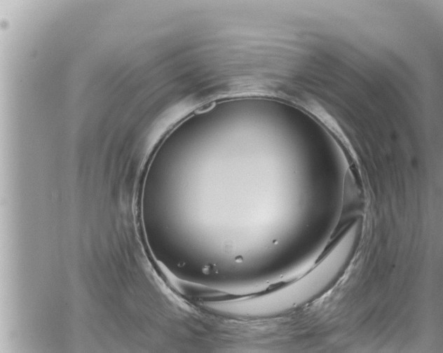 X0000065261197200602211242