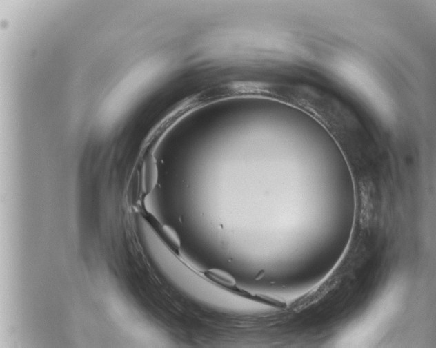 X0000065261198200602211242