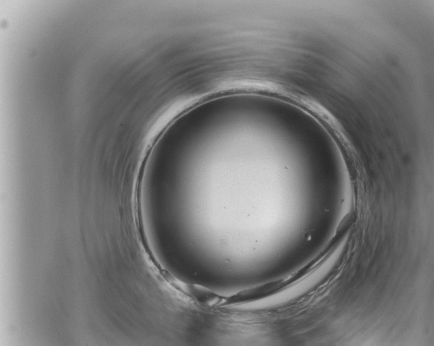 X0000065261199200602211242