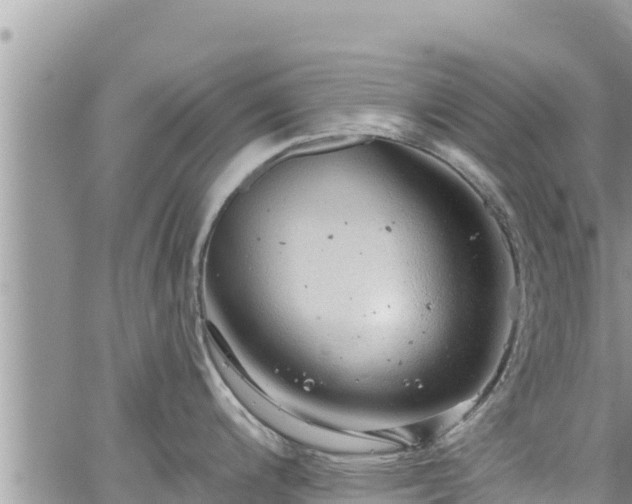 X0000065261200200602211242