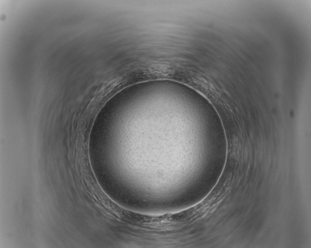 X0000065261201200602211241