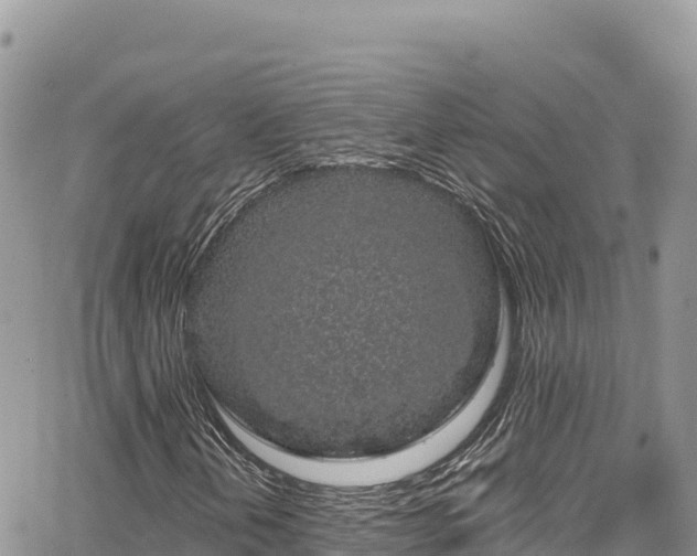 X0000065261202200602211241