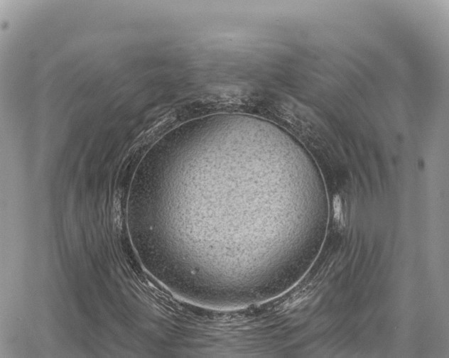 X0000065261203200602211241