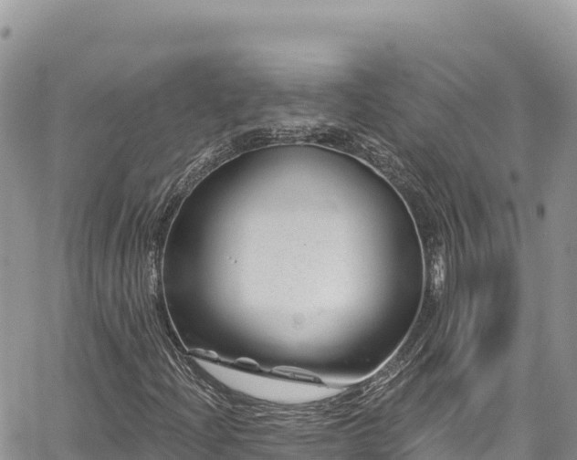 X0000065261204200602211241