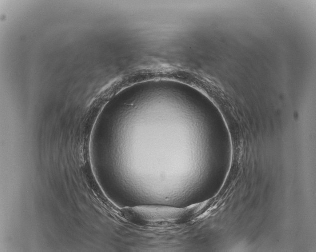 X0000065261205200602211241