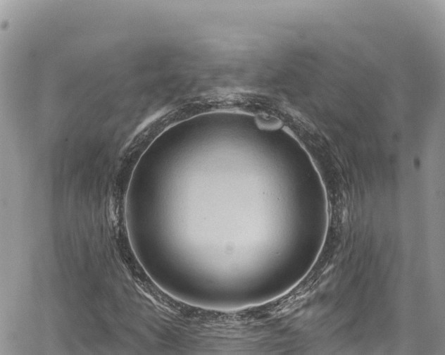 X0000065261206200602211241