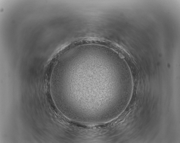 X0000065261207200602211241