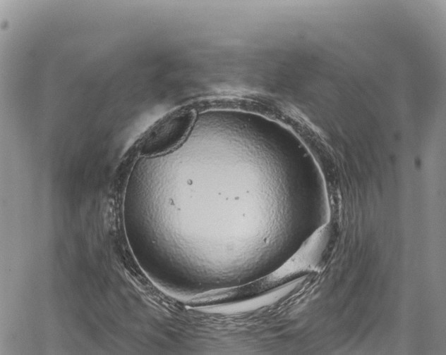 X0000065261208200602211241