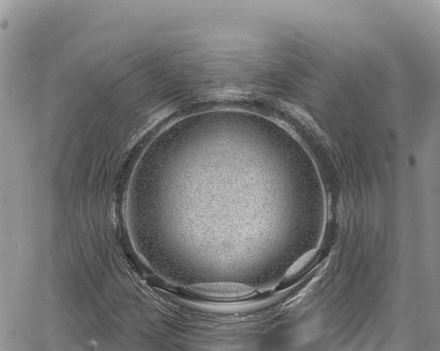 X0000065261209200602211241