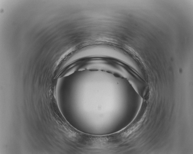 X0000065261210200602211241