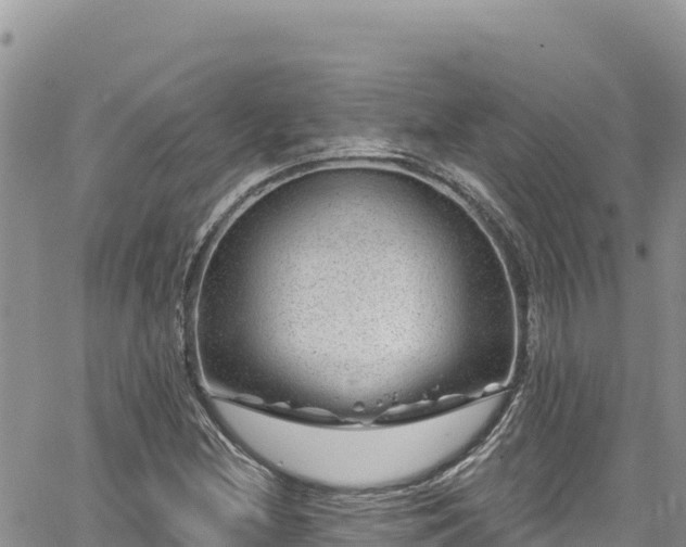 X0000065261212200602211241