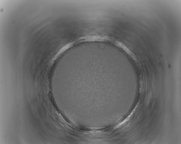 X0000065261213200602211241