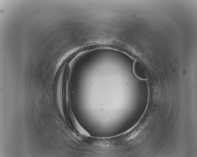 X0000065261214200602211241