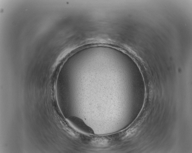 X0000065261215200602211241