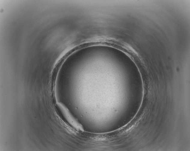 X0000065261216200602211241