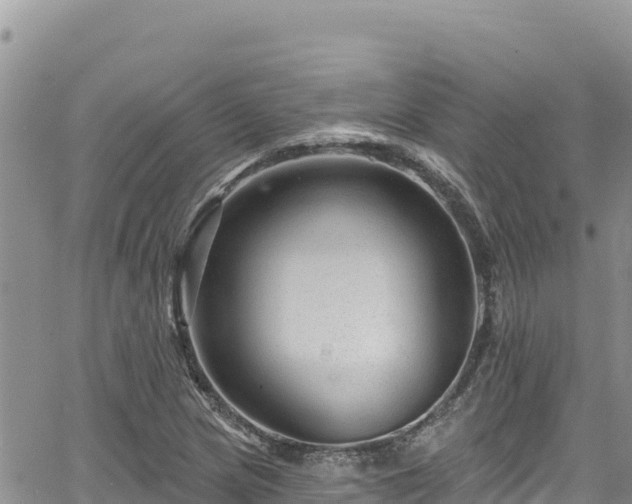 X0000065261217200602211241