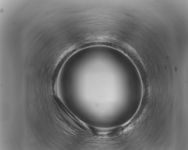 X0000065261218200602211241