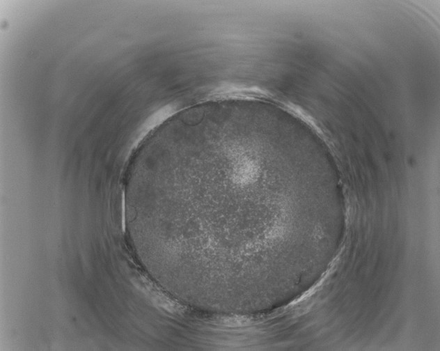 X0000065261219200602211241