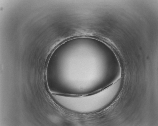 X0000065261220200602211241