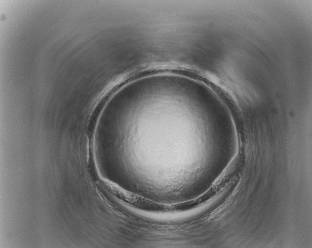 X0000065261221200602211241