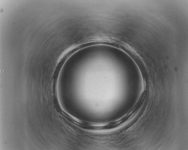 X0000065261222200602211241