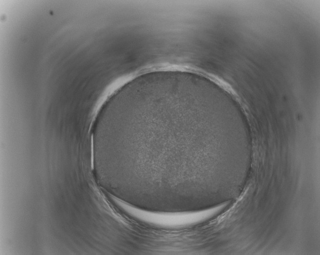 X0000065261223200602211241