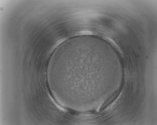 X0000065261225200602211241