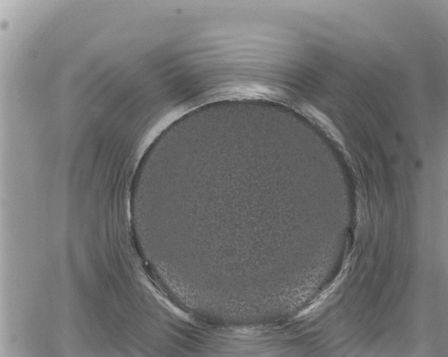 X0000065261226200602211241