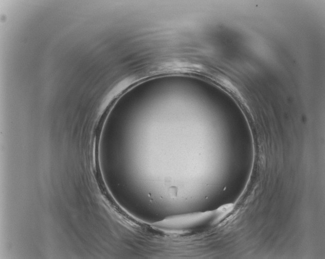 X0000065261227200602211241