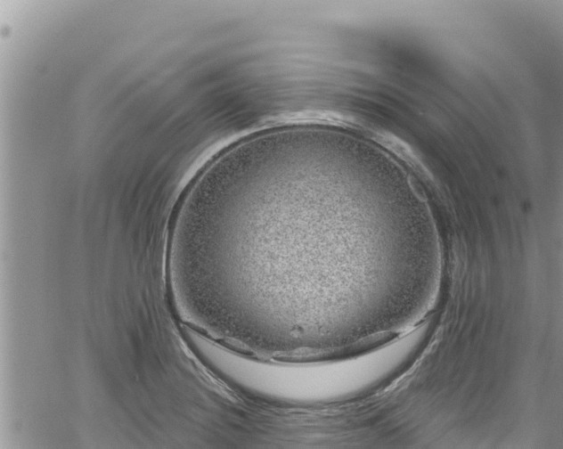 X0000065261228200602211241