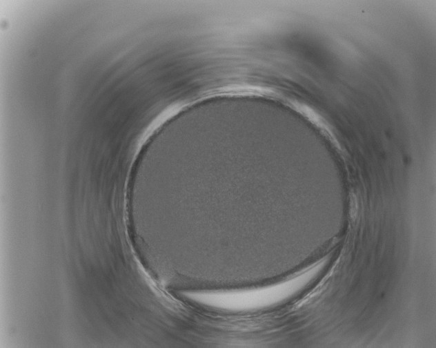 X0000065261229200602211242