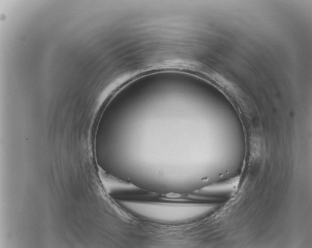 X0000065261230200602211242