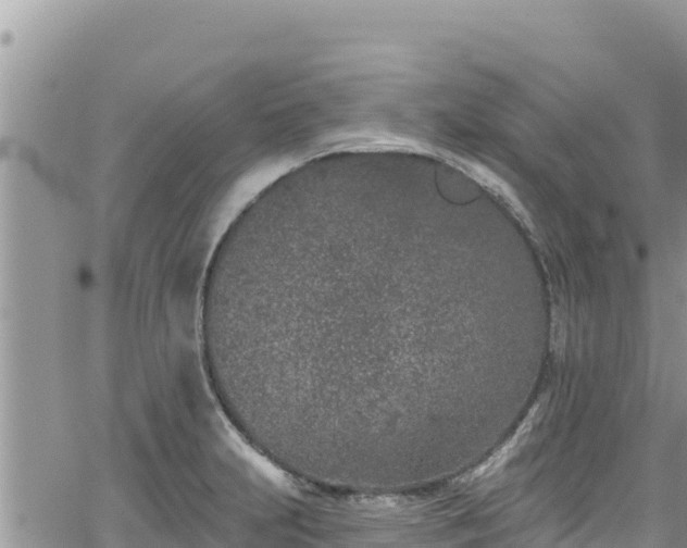 X0000065261231200602211242