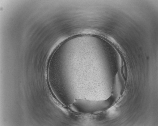 X0000065261232200602211242