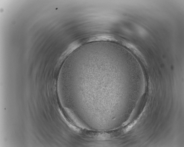 X0000065261233200602211242