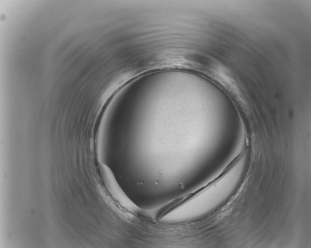 X0000065261234200602211242