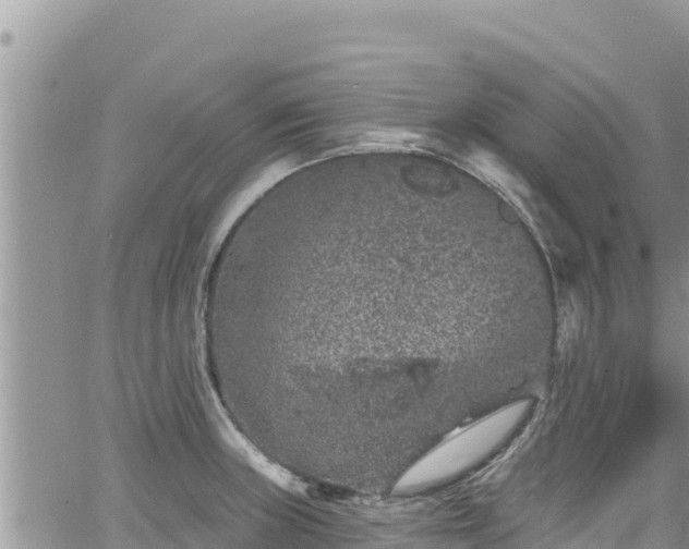 X0000065261235200602211242