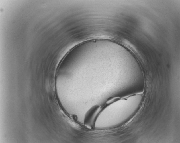 X0000065261236200602211242