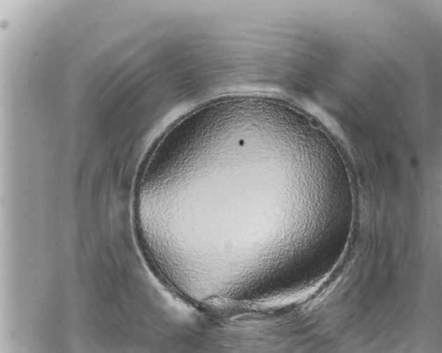 X0000065261237200602211242