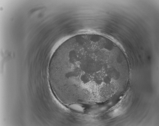 X0000065261239200602211242