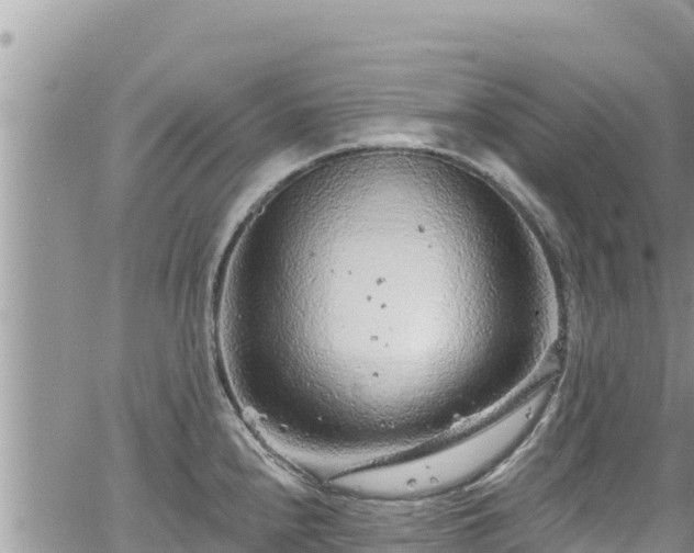 X0000065261240200602211242