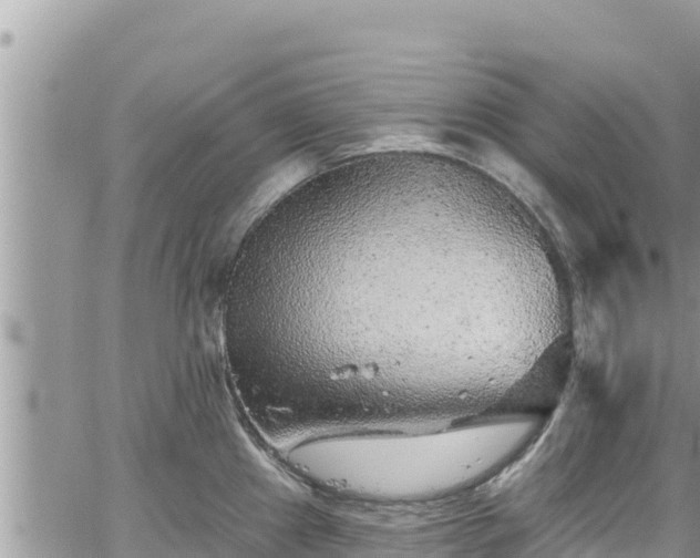 X0000065261241200602211242