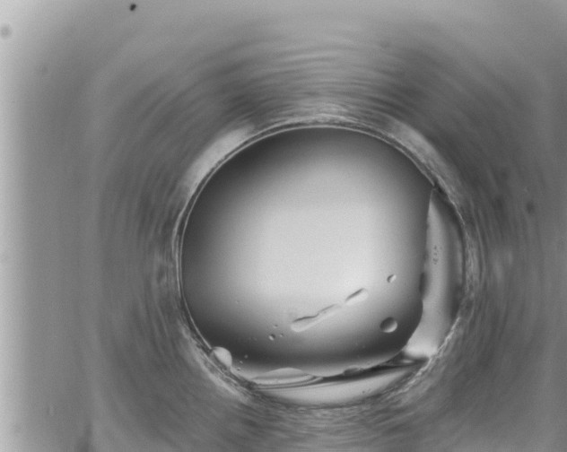 X0000065261242200602211242