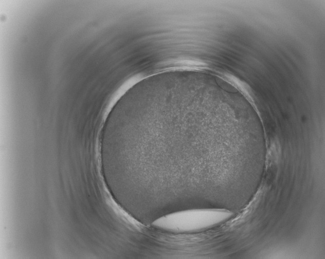 X0000065261243200602211242