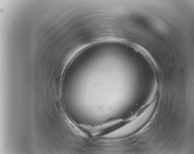 X0000065261244200602211242